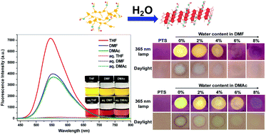 Graphical abstract: An ethanethioate functionalized polythiophene as an optical probe for sensitive and fast detection of water content in organic solvents