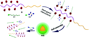 Graphical abstract: Pillararene-containing polymers with tunable fluorescence properties based on host–guest interactions