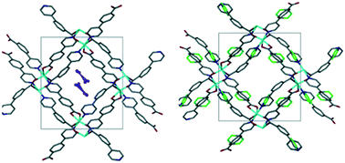 Graphical abstract: Robust pyridylbenzoate metal–organic frameworks as sorbents for volatile solvents and gases