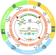 Graphical abstract: Catalytic self-transfer hydrogenolysis of lignin with endogenous hydrogen: road to the carbon-neutral future