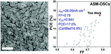 Graphical abstract: 17% efficiency all-small-molecule organic solar cells enabled by nanoscale phase separation with a hierarchical branched structure