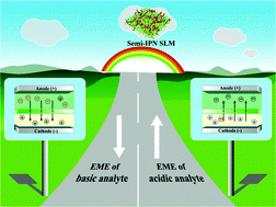Graphical abstract: Organic-solvent-free electromembrane extraction based on semi-interpenetrating polymer networks