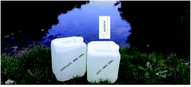 Graphical abstract: On-site separation of arsenic species using a sorbent C18 column modified with APDC followed by ICP-MS determination