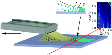 Graphical abstract: Dynamic processes in transient phases during self-assembly of organic semiconductor thin films