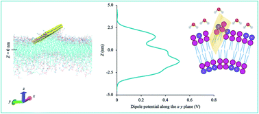 Graphical abstract: Ultrasensitive two-dimensional material-based MCF-7 cancer cell sensor driven by perturbation processes