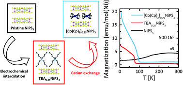 Graphical abstract: Tuning the magnetic properties of NiPS3 through organic-ion intercalation