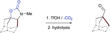 Graphical abstract: Synthesis of noradamantane derivatives by ring-contraction of the adamantane framework