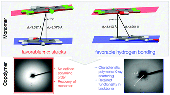 Graphical abstract: Mechanistic insights into the pressure-induced polymerization of aryl/perfluoroaryl co-crystals