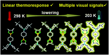 Graphical abstract: Full-type photoluminescence from a single organic molecule for multi-signal temperature sensing