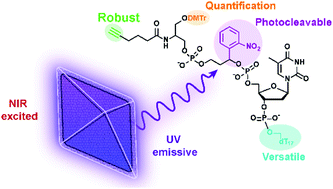 Graphical abstract: Synthesis and fundamental studies of a photoresponsive oligonucleotide-upconverting nanoparticle covalent conjugate