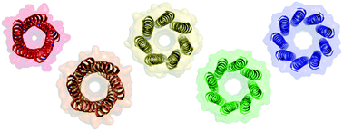 Graphical abstract: Coiled coils 9-to-5: rational de novo design of α-helical barrels with tunable oligomeric states