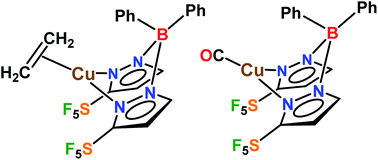 Graphical abstract: When SF5 outplays CF3: effects of pentafluorosulfanyl decorated scorpionates on copper