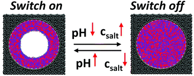 Graphical abstract: Dual-responsive zwitterion-modified nanopores: a mesoscopic simulation study