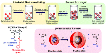 Graphical abstract: Carboxy-functionalized pH responsive capsule polymer particles fabricated by particulate interfacial photocrosslinking