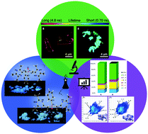 Graphical abstract: Methods for elucidating the structural–property relationship in luminescent materials