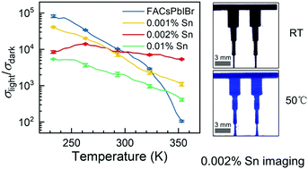 Graphical abstract: Temperature-dependent performance metrics of tin-doped perovskite photodetectors