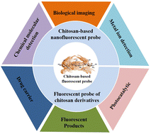 Graphical abstract: Preparation and application of chitosan-based fluorescent probes