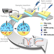 Graphical abstract: A batch processed titanium–vanadium oxide nanocomposite based solid-state electrochemical sensor for zeptomolar nucleic acid detection