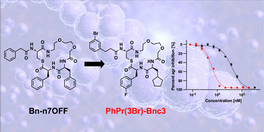 Graphical abstract: Potent pan-group quorum sensing inhibitors in Staphylococcus aureus revealed by N-terminal tailoring of peptidomimetics