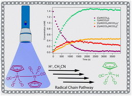 Graphical abstract: Visible light induced formation of a tungsten hydride complex