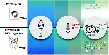 Graphical abstract: Influence of storage temperature on the stability of heat treated phycocyanin-λ-carrageenan complexes in liquid formulations