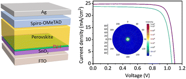 Graphical abstract: Functionalized polymer modified buried interface for enhanced efficiency and stability of perovskite solar cells