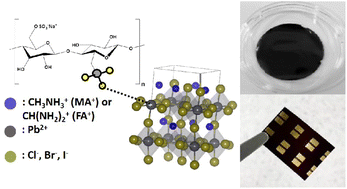 Graphical abstract: Highly stable, substrate-free, and flexible broadband halide perovskite paper photodetectors