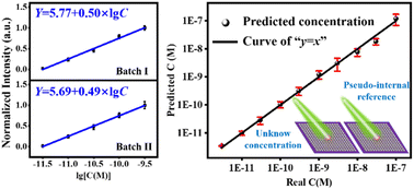 Graphical abstract: A robust SERS calibration using a pseudo-internal intensity reference