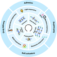 Graphical abstract: Supramolecular topological hydrogels: from material design to applications