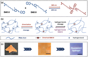 Graphical abstract: Dual encryption of digital information in a tough fluorescent hydrogel