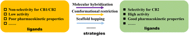 Graphical abstract: Rational drug design of CB2 receptor ligands: from 2012 to 2021