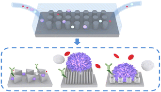 Graphical abstract: Recent advances in micro-/nanostructure array integrated microfluidic devices for efficient separation of circulating tumor cells