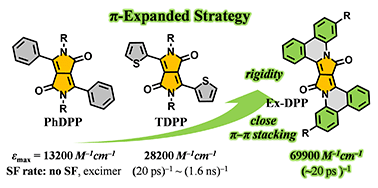 Graphical abstract: Robust singlet fission process in strong absorption π-expanded diketopyrrolopyrroles