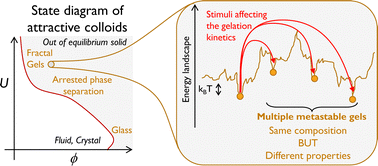 Graphical abstract: Interpenetration of fractal clusters drives elasticity in colloidal gels formed upon flow cessation
