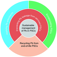 Graphical abstract: Sustainable management of lead in perovskite solar cells