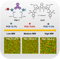 Graphical abstract: Aggregation state tuning via controlling molecular weights of D–A1–A2 type polymer donors for efficient organic photovoltaics