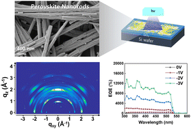 Graphical abstract: Structural engineering of single-crystal-like perovskite nanocrystals for ultrasensitive photodetector applications