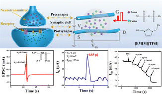 Graphical abstract: Boron nitride-mediated semiconductor nanonetwork for an ultralow-power fibrous synaptic transistor and C-reactive protein sensing