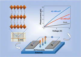 Graphical abstract: Centimeter-size single crystals of 2D hybrid perovskites for shortwave light photodetection with a low detection limit
