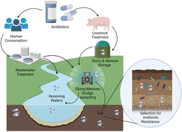 Graphical abstract: A framework to assess the terrestrial risk of antibiotic resistance from antibiotics in slurry or manure amended soils