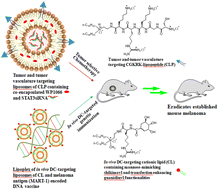 Graphical abstract: In vivo targeting of a tumor-antigen encoded DNA vaccine to dendritic cells in combination with tumor-selective chemotherapy eradicates established mouse melanoma