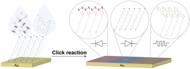 Graphical abstract: Fabrication of multi-functional molecular tunnelling junctions by click chemistry