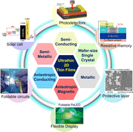 Graphical abstract: Wafer-scale synthesis of two-dimensional ultrathin films