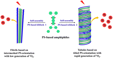 Graphical abstract: Controlled assembly of photosensitizers through directional interactions for effective photooxidation