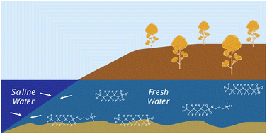 Graphical abstract: Enhanced aggregation and interfacial adsorption of an aqueous film forming foam (AFFF) in high salinity matrices