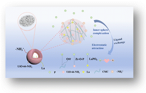 Graphical abstract: Integrated fabrication of CMC@UiO-66–NH2@PEI composite adsorbents for efficient batch and dynamic phosphate capture