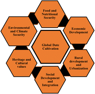 Graphical abstract: Current insights into date by-product valorization for sustainable food industries and technology