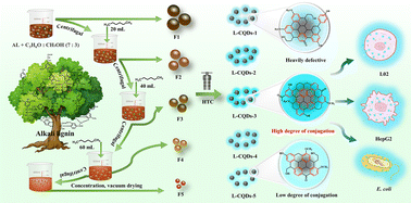 Graphical abstract: The effect of lignin molecular weight on the formation and properties of carbon quantum dots