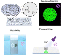 Graphical abstract: Design of a self-cleanable multilevel anticounterfeiting interface through covalent chemical modulation