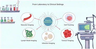 Graphical abstract: Advancing MRI with magnetic nanoparticles: a comprehensive review of translational research and clinical trials